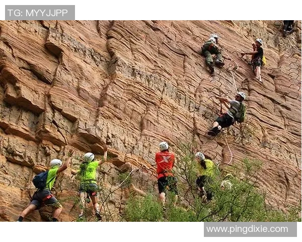武汉攀岩队在滑板精英赛中的意识表现与团队协作分析